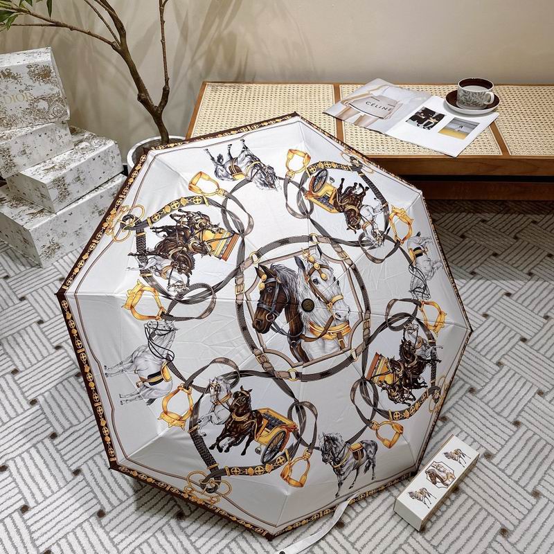 Hermes Umbrella E (63)